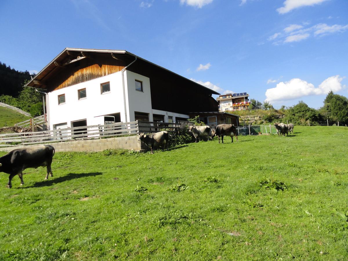 Haus Hochzeigerblick Villa เวนส์ ภายนอก รูปภาพ